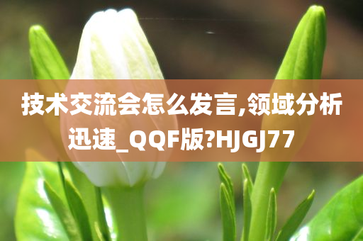 技术交流会怎么发言,领域分析迅速_QQF版?HJGJ77