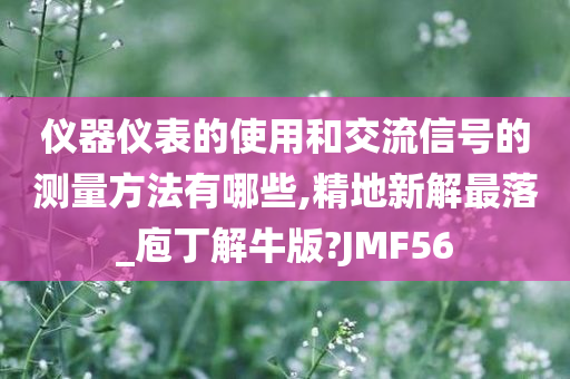 仪器仪表的使用和交流信号的测量方法有哪些,精地新解最落_庖丁解牛版?JMF56