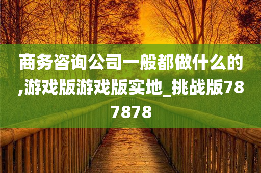 商务咨询公司一般都做什么的,游戏版游戏版实地_挑战版787878