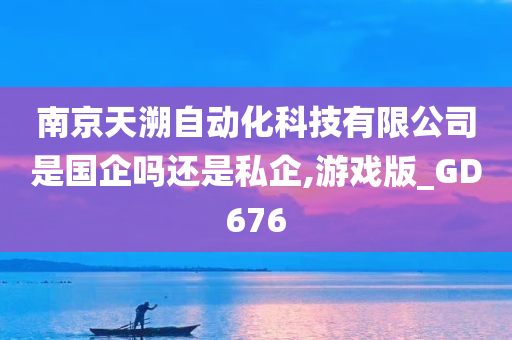 南京天溯自动化科技有限公司是国企吗还是私企,游戏版_GD676