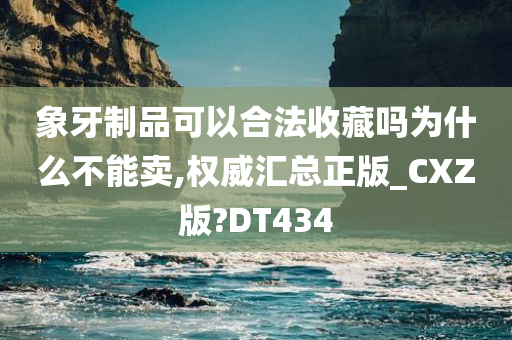 象牙制品可以合法收藏吗为什么不能卖,权威汇总正版_CXZ版?DT434