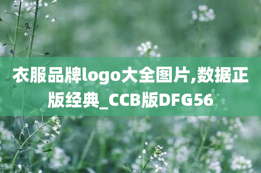 衣服品牌logo大全图片,数据正版经典_CCB版DFG56