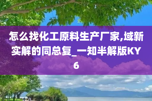 怎么找化工原料生产厂家,域新实解的同总复_一知半解版KY6