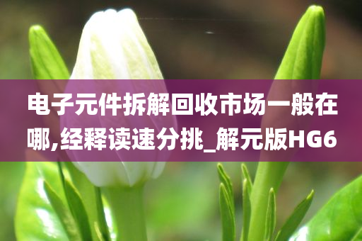 电子元件拆解回收市场一般在哪,经释读速分挑_解元版HG6