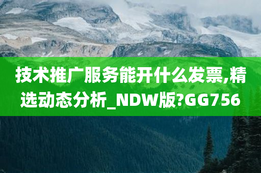 技术推广服务能开什么发票,精选动态分析_NDW版?GG756