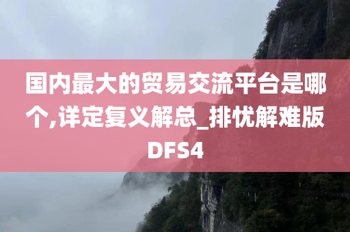 国内最大的贸易交流平台是哪个,详定复义解总_排忧解难版DFS4