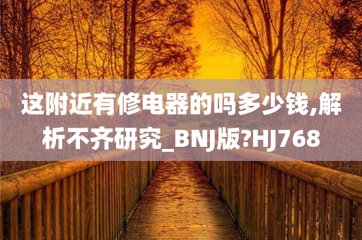 这附近有修电器的吗多少钱,解析不齐研究_BNJ版?HJ768