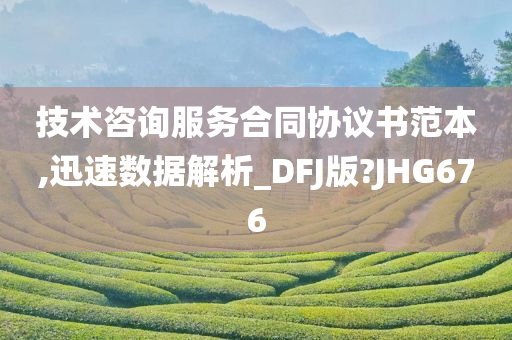 技术咨询服务合同协议书范本,迅速数据解析_DFJ版?JHG676