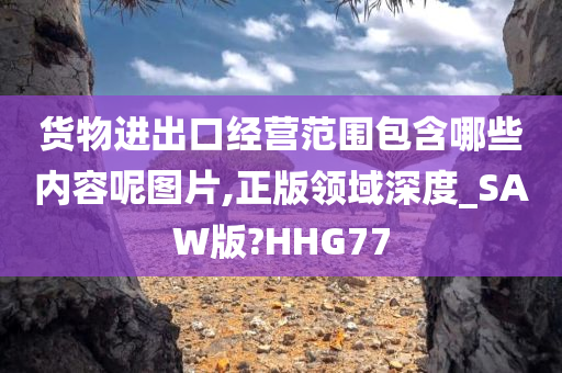 货物进出口经营范围包含哪些内容呢图片,正版领域深度_SAW版?HHG77