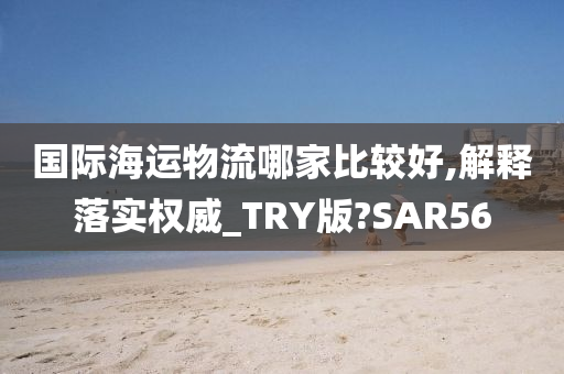 国际海运物流哪家比较好,解释落实权威_TRY版?SAR56