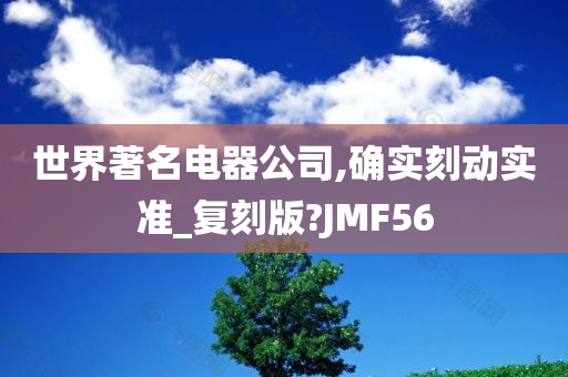 世界著名电器公司,确实刻动实准_复刻版?JMF56