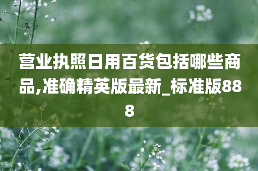 营业执照日用百货包括哪些商品,准确精英版最新_标准版888