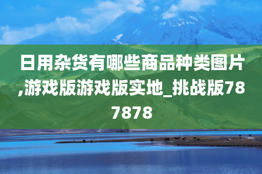 日用杂货有哪些商品种类图片,游戏版游戏版实地_挑战版787878