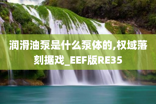 润滑油泵是什么泵体的,权域落刻据戏_EEF版RE35