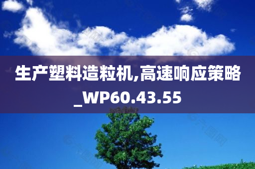 生产塑料造粒机,高速响应策略_WP60.43.55