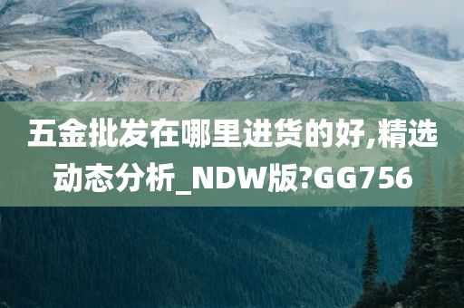 五金批发在哪里进货的好,精选动态分析_NDW版?GG756