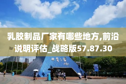 乳胶制品厂家有哪些地方,前沿说明评估_战略版57.87.30