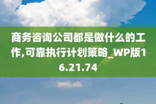 商务咨询公司都是做什么的工作,可靠执行计划策略_WP版16.21.74