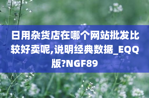 日用杂货店在哪个网站批发比较好卖呢,说明经典数据_EQQ版?NGF89