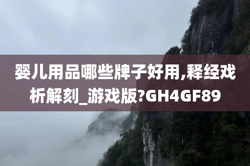 婴儿用品哪些牌子好用,释经戏析解刻_游戏版?GH4GF89