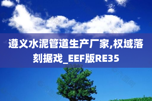 遵义水泥管道生产厂家,权域落刻据戏_EEF版RE35