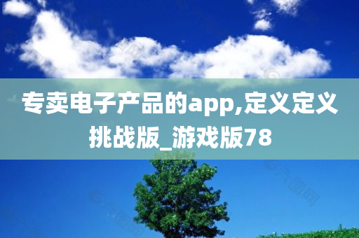 专卖电子产品的app,定义定义挑战版_游戏版78