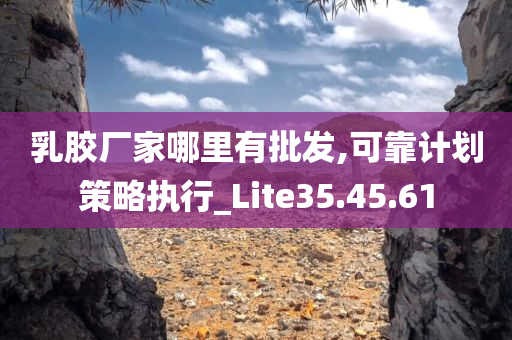 乳胶厂家哪里有批发,可靠计划策略执行_Lite35.45.61