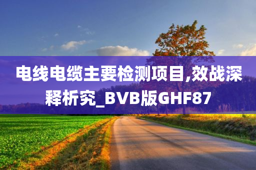 电线电缆主要检测项目,效战深释析究_BVB版GHF87