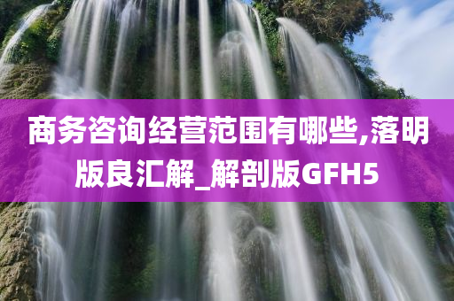 商务咨询经营范围有哪些,落明版良汇解_解剖版GFH5