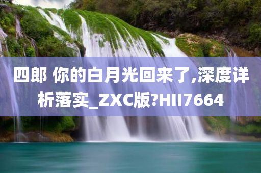 四郎 你的白月光回来了,深度详析落实_ZXC版?HII7664