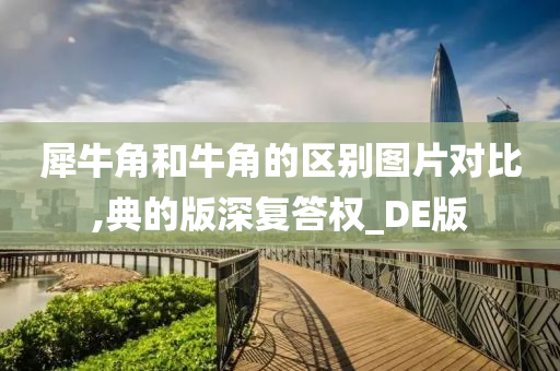 犀牛角和牛角的区别图片对比,典的版深复答权_DE版