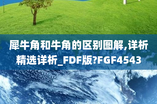 犀牛角和牛角的区别图解,详析精选详析_FDF版?FGF4543