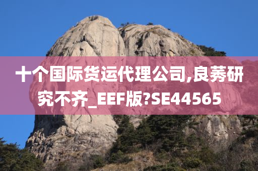 十个国际货运代理公司,良莠研究不齐_EEF版?SE44565