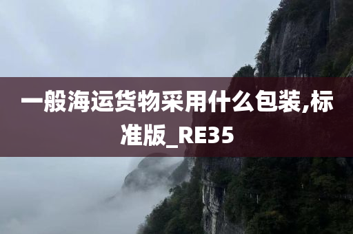 一般海运货物采用什么包装,标准版_RE35