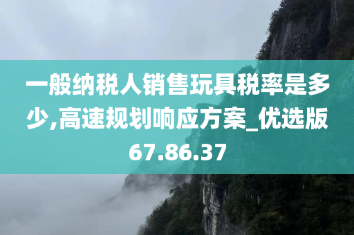 一般纳税人销售玩具税率是多少,高速规划响应方案_优选版67.86.37