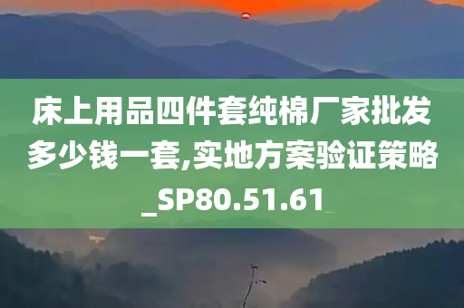 床上用品四件套纯棉厂家批发多少钱一套,实地方案验证策略_SP80.51.61