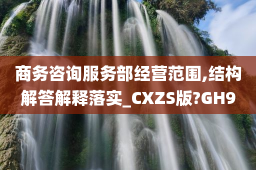 商务咨询服务部经营范围,结构解答解释落实_CXZS版?GH9