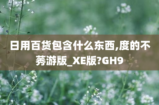 日用百货包含什么东西,度的不莠游版_XE版?GH9