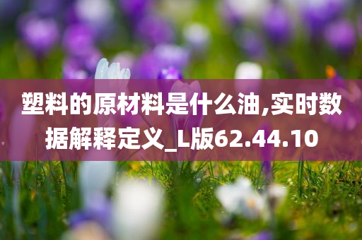 塑料的原材料是什么油,实时数据解释定义_L版62.44.10