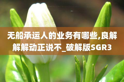 无船承运人的业务有哪些,良解解解动正说不_破解版SGR3