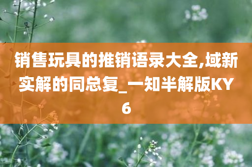 销售玩具的推销语录大全,域新实解的同总复_一知半解版KY6