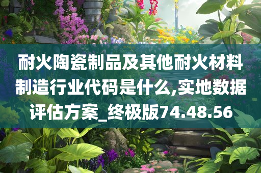 耐火陶瓷制品及其他耐火材料制造行业代码是什么,实地数据评估方案_终极版74.48.56