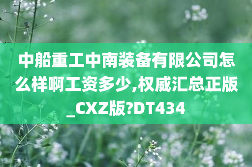 中船重工中南装备有限公司怎么样啊工资多少,权威汇总正版_CXZ版?DT434