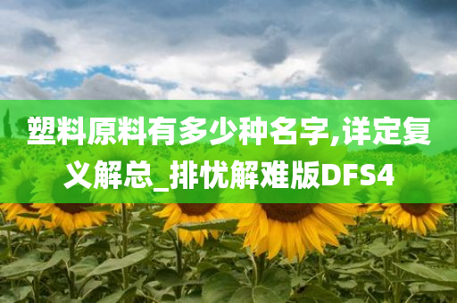 塑料原料有多少种名字,详定复义解总_排忧解难版DFS4