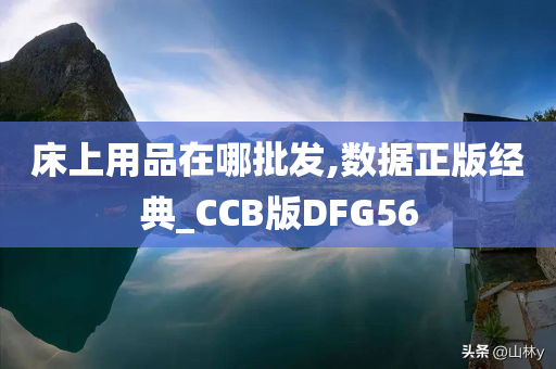 床上用品在哪批发,数据正版经典_CCB版DFG56