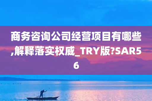 商务咨询公司经营项目有哪些,解释落实权威_TRY版?SAR56