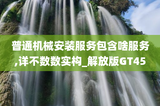 普通机械安装服务包含啥服务,详不数数实构_解放版GT45