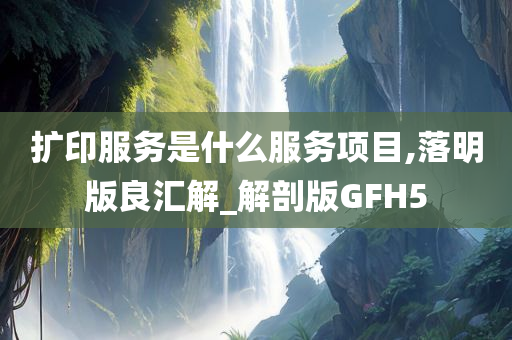 扩印服务是什么服务项目,落明版良汇解_解剖版GFH5