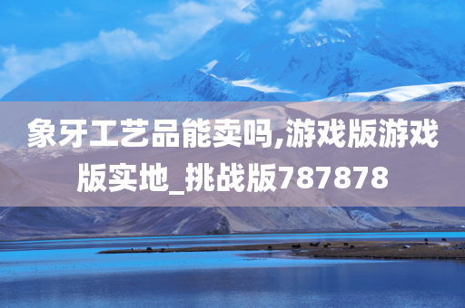 象牙工艺品能卖吗,游戏版游戏版实地_挑战版787878