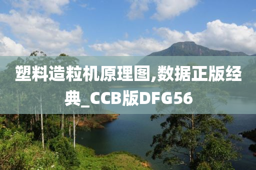 塑料造粒机原理图,数据正版经典_CCB版DFG56